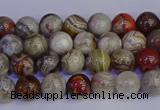 CAG9110 15.5 inches 4mm round Mexican crazy lace agate beads