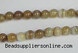 CAG936 16 inches 6mm round madagascar agate gemstone beads