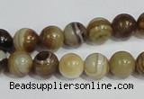 CAG938 16 inches 10mm round madagascar agate gemstone beads