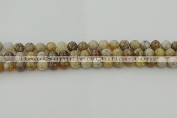 CAG9402 15.5 inches 8mm round ocean fossil agate beads wholesale