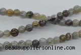 CAG970 15.5 inches 4mm round bamboo leaf agate gemstone beads