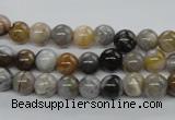 CAG971 15.5 inches 6mm round bamboo leaf agate gemstone beads