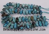 CAG9756 15.5 inches 9*25mm - 11*35mm sticks ocean agate beads