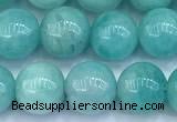 CAM1781 15 inches 8mm - 9mm round amazonite gemstone beads