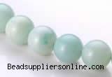 CAM18 15.5 inches round natural amazonite 10mm beads wholesale