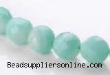 CAM28 10mm natural amazonite faceted round stone beads Wholesale