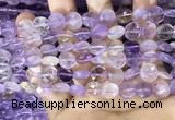 CAN232 15.5 inches 10mm faceted coin ametrine beads wholesale