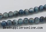 CAP05 15.5 inches 6mm round apatite gemstone beads wholesale