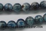 CAP06 15.5 inches 10mm round apatite gemstone beads wholesale