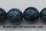 CAP404 15.5 inches 12mm round A grade natural apatite beads