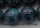 CAP405 15.5 inches 14mm round A grade natural apatite beads