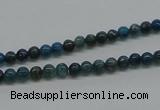 CAP51 15.5 inches 4mm round dyed apatite gemstone beads wholesale