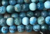 CAP576 15.5 inches 4mm round apatite beads wholesale