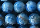 CAP585 15.5 inches 10mm round apatite beads wholesale