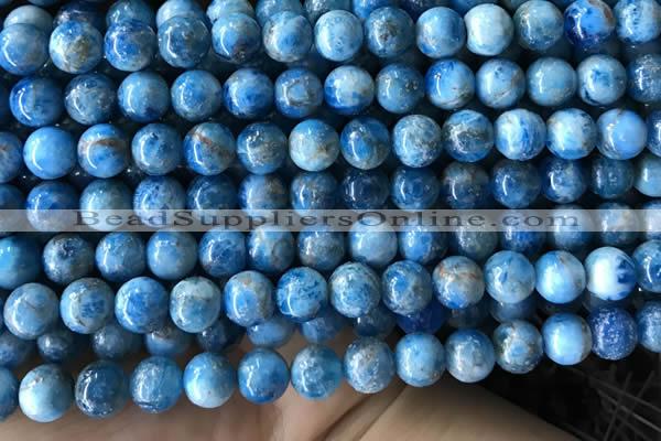 CAP585 15.5 inches 10mm round apatite beads wholesale