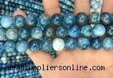 CAP602 15.5 inches 12mm round natural apatite beads wholesale