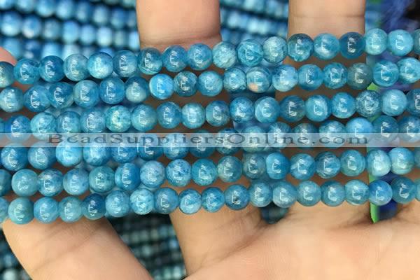 CAP605 15.5 inches 5mm round natural apatite gemstone beads