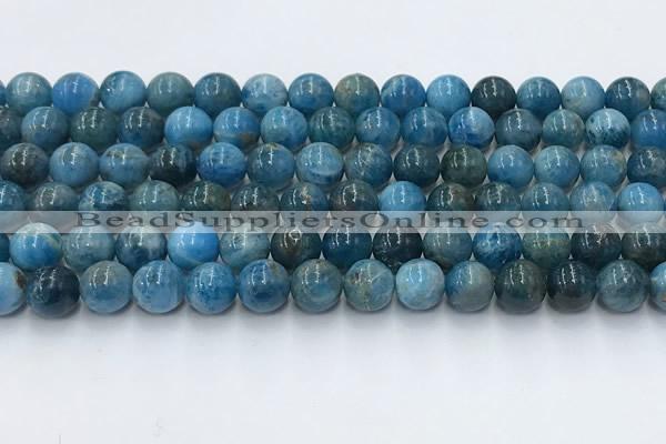 CAP631 15.5 inches 8mm round apatite beads wholesale