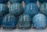 CAP632 15.5 inches 10mm round apatite beads wholesale