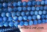 CAP639 15.5 inches 10mm round natural apatite gemstone beads