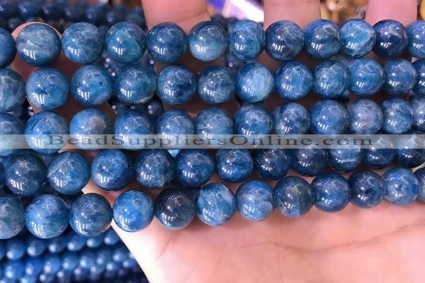 CAP640 15.5 inches 10mm round natural apatite gemstone beads