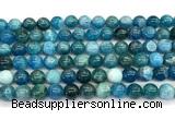 CAP756 15 inches 8mm round apatite gemstone beads wholesale