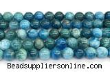 CAP757 15 inches 10mm round apatite gemstone beads wholesale