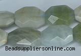 CAQ590 15.5 inches 15*20mm faceted freeform aquamarine beads