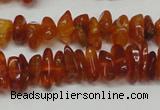 CAR115 16 inches 3*6mm - 4*8mm natural amber chips beads