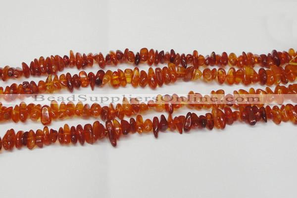 CAR116 16 inches 3*8mm - 4*10mm natural amber chips beads