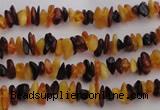 CAR205 32 inches 3*5mm natural amber chips beads wholesale