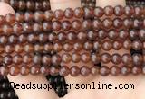 CAR231 15.5 inches 5mm - 5.5mm round natural amber beads wholesale