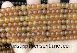 CAR233 15.5 inches 5mm - 5.5mm round natural amber beads wholesale