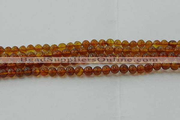 CAR526 15.5 inches 5mm - 6mm round natural amber beads wholesale