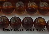 CAR528 15.5 inches 8mm - 9mm round natural amber beads wholesale