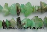 CAU407 15.5 inches 4*8mm - 6*14mm Australia chrysoprase chips beads