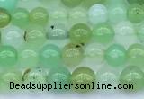 CAU569 15 inches 5mm round Australia chrysoprase beads