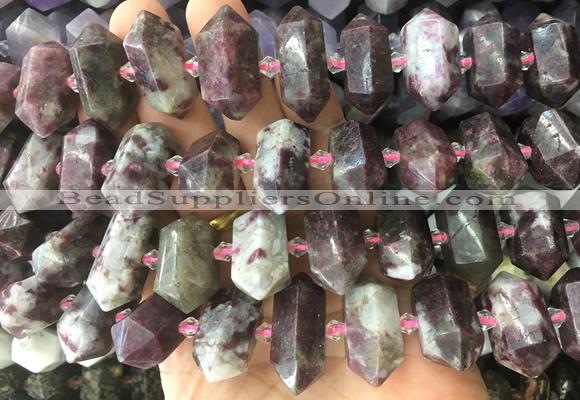 CBBS44 15 inches 12*25mm - 14*28mm hexahedral prism plum blossom tourmaline beads