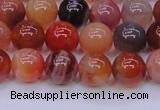 CBC403 15.5 inches 10mm A grade round orange chalcedony beads