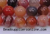 CBC404 15.5 inches 12mm A grade round orange chalcedony beads