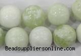 CBJ207 15.5 inches 16mm round butter jade beads wholesale