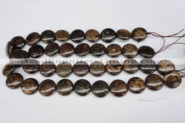 CBZ70 15.5 inches 20mm flat round bronzite gemstone beads