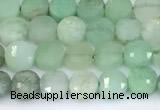 CCB1150 15 inches 4mm faceted coin Australia chrysoprase beads