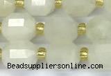 CCB1246 15 inches 7*8mm faceted white moonstone beads