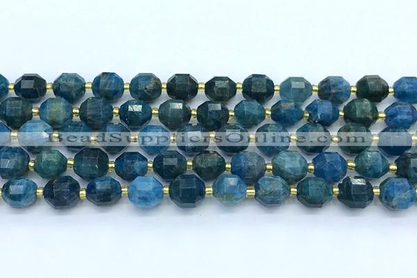 CCB1265 15 inches 9*10mm faceted apatite gemstone beads