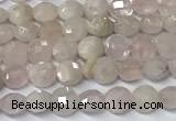 CCB1369 15 inches 4mm faceted coin morganite beads