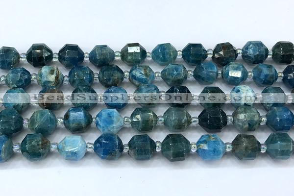 CCB1467 15 inches 9mm - 10mm faceted apatite beads