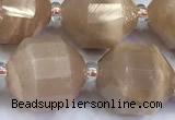 CCB1537 15 inches 11mm - 12mm faceted moonstone gemstone beads