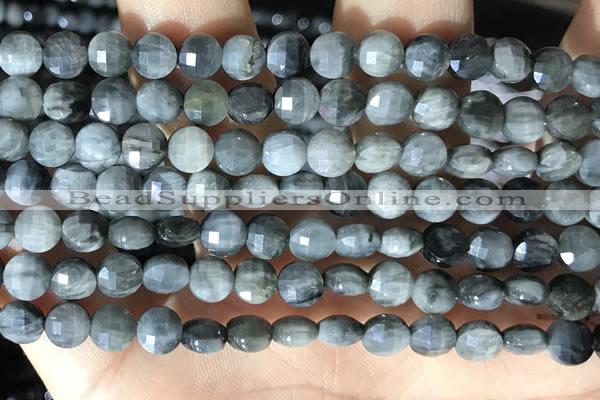 CCB627 15.5 inches 6mm faceted coin eagle eye jasper gemstone beads