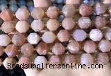 CCB856 15.5 inches 11*12mm faceted moonstone beads wholesale